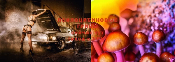 мдпв Заволжье