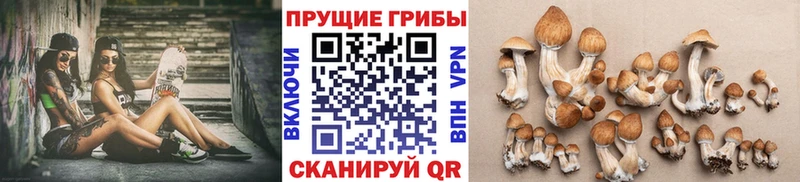 мориарти Telegram  Южноуральск  Псилоцибиновые грибы прущие грибы  ссылка на мегу сайт 